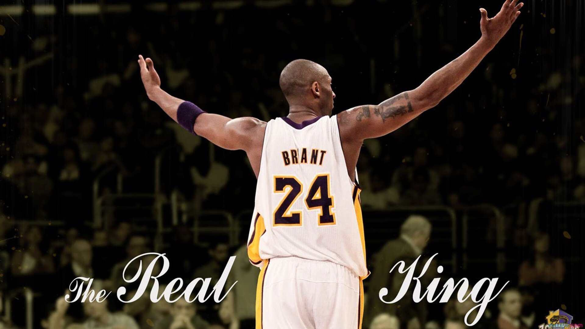 当王权遭遇银黑军团，约基奇如何以无解进攻重塑国王之名