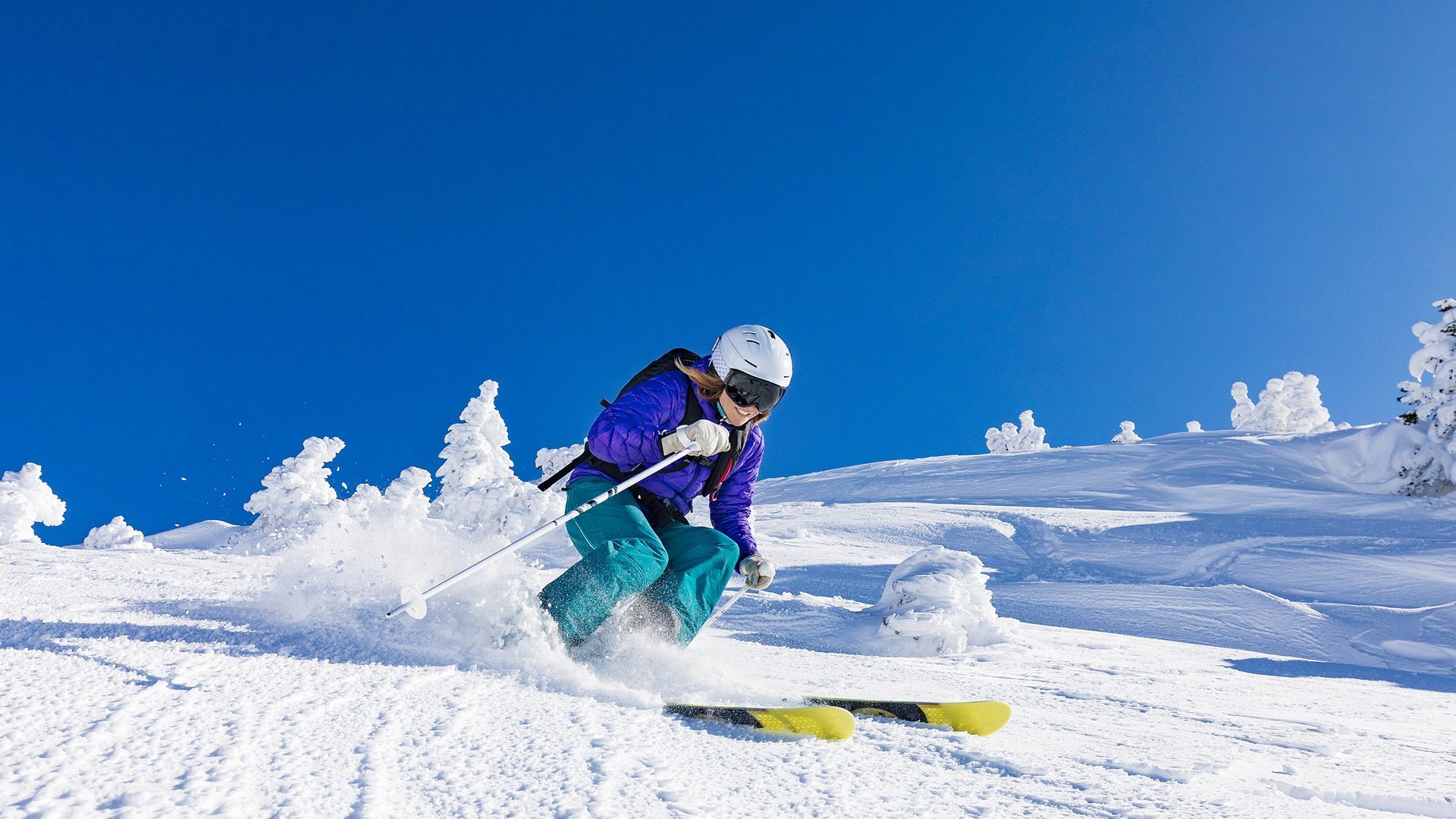 当轻取成为传说,比利时之矛与伊布之盾,撕裂拜仁的唯一剧本